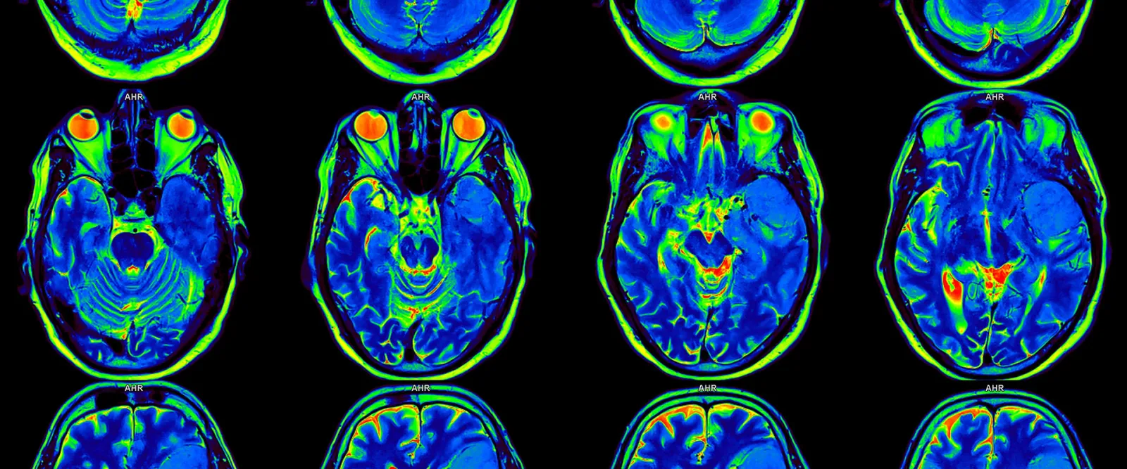 The New Science of Mind-Reading